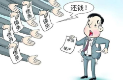 债务人,挑战与成长之路