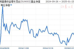 519003基金净值,投资价值与市场表现深度剖析