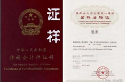 会计师从业资格考试,科目、内容与备考策略